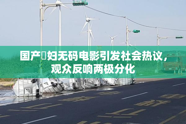 国产婬妇无码电影引发社会热议，观众反响两极分化