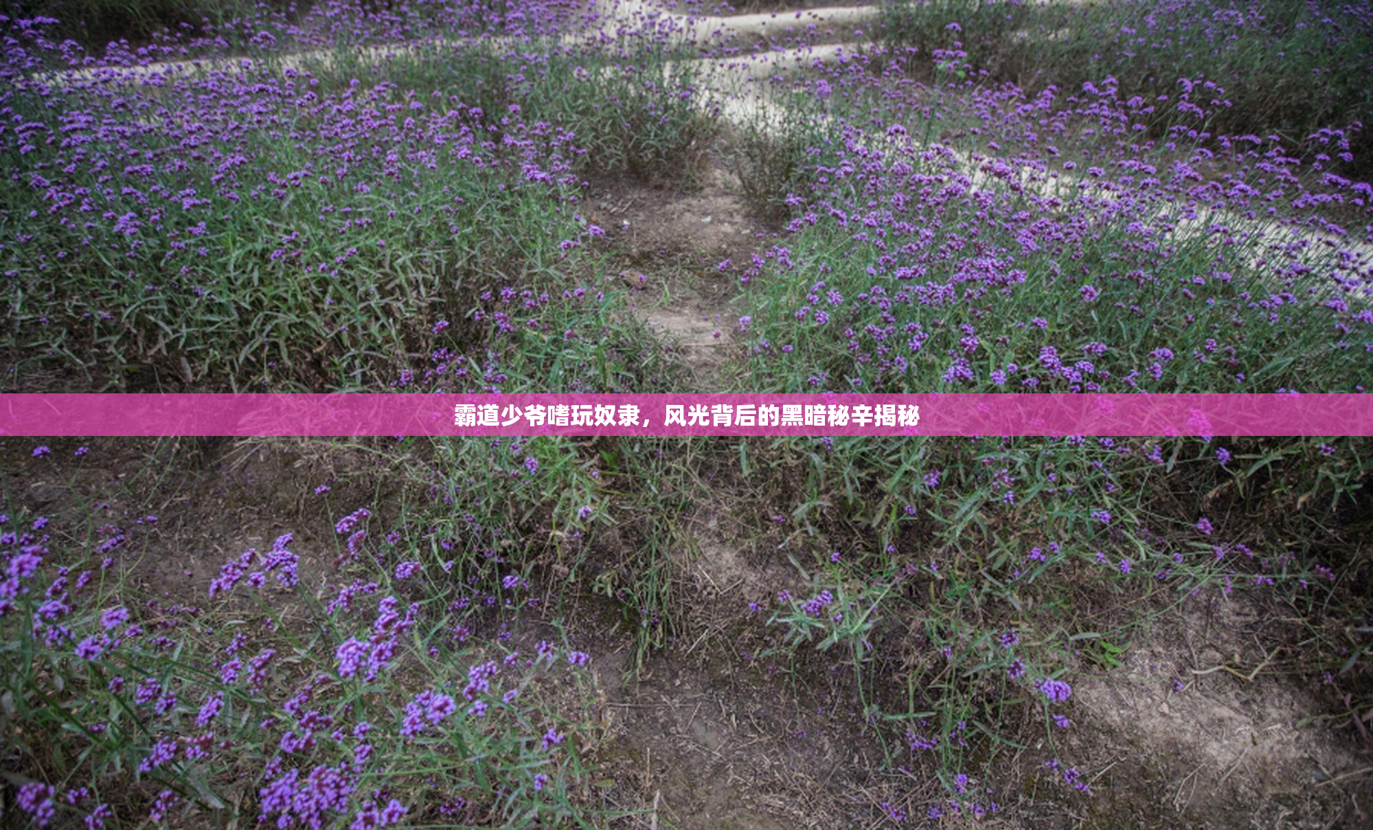 霸道少爷嗜玩奴隶，风光背后的黑暗秘辛揭秘