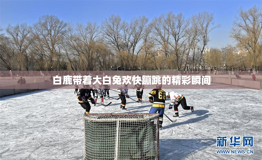 白鹿带着大白兔欢快蹦跳的精彩瞬间
