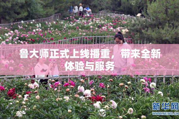 鲁大师正式上线播重，带来全新体验与服务