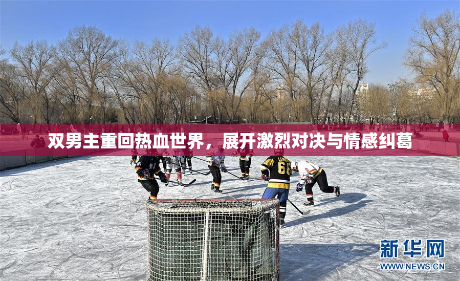 双男主重回热血世界，展开激烈对决与情感纠葛