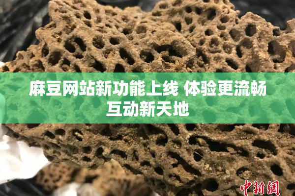 麻豆网站新功能上线 体验更流畅互动新天地