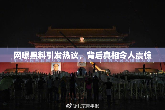 网曝黑料引发热议，背后真相令人震惊