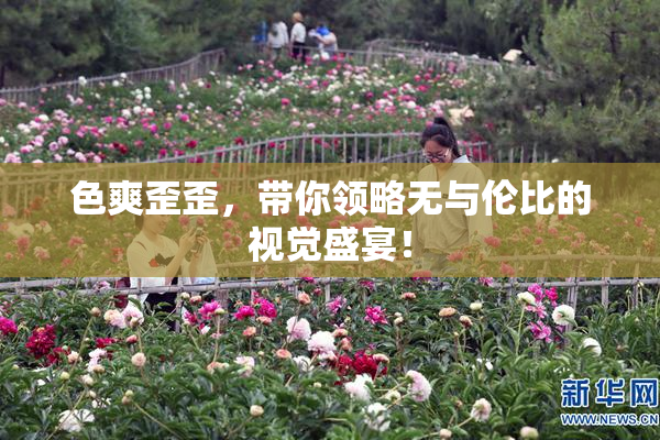 色爽歪歪，带你领略无与伦比的视觉盛宴！