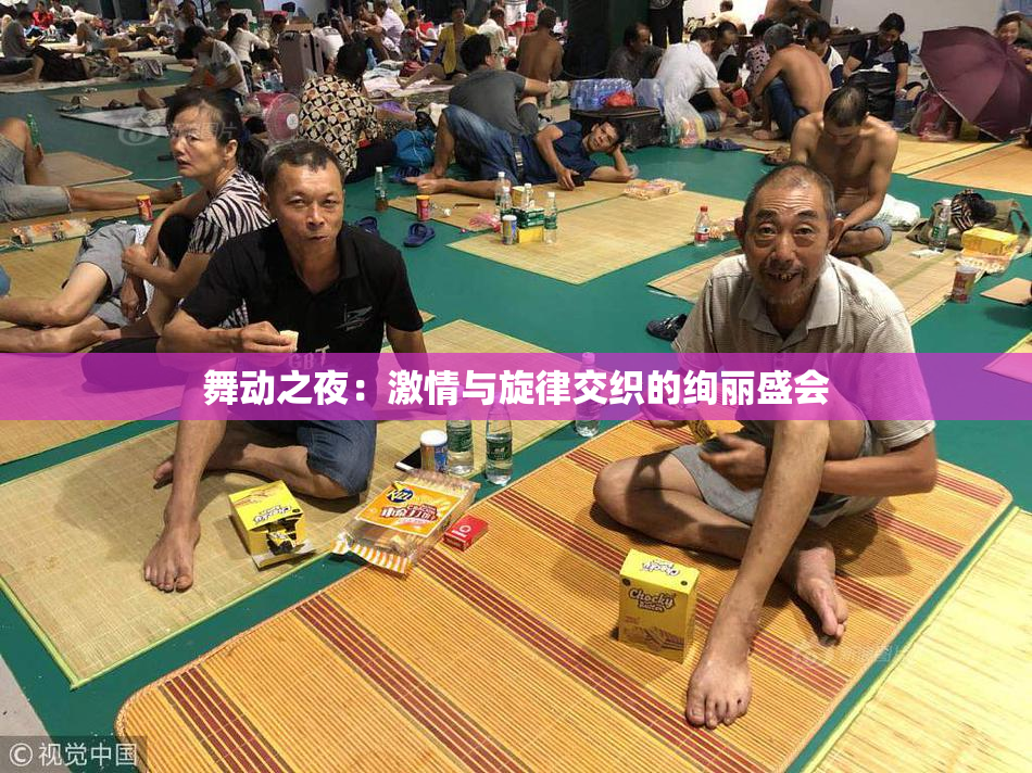 舞动之夜：激情与旋律交织的绚丽盛会
