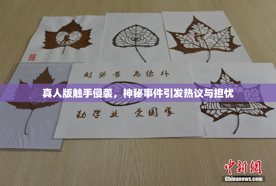 真人版触手侵袭，神秘事件引发热议与担忧