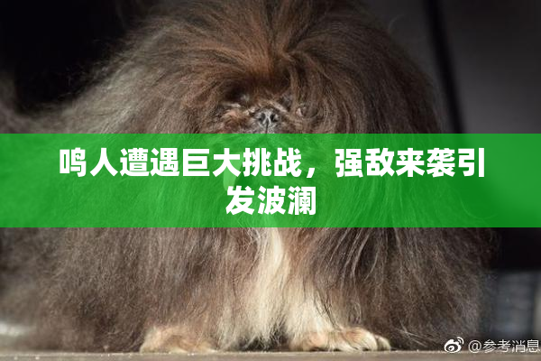 鸣人遭遇巨大挑战，强敌来袭引发波澜