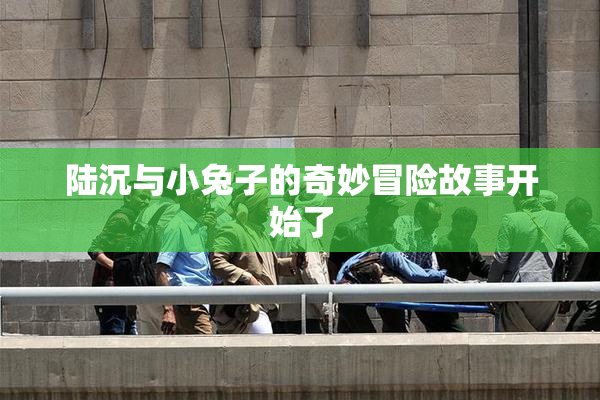 陆沉与小兔子的奇妙冒险故事开始了