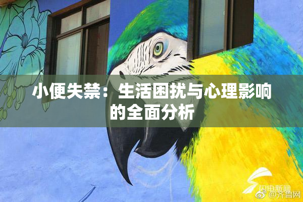 小便失禁：生活困扰与心理影响的全面分析
