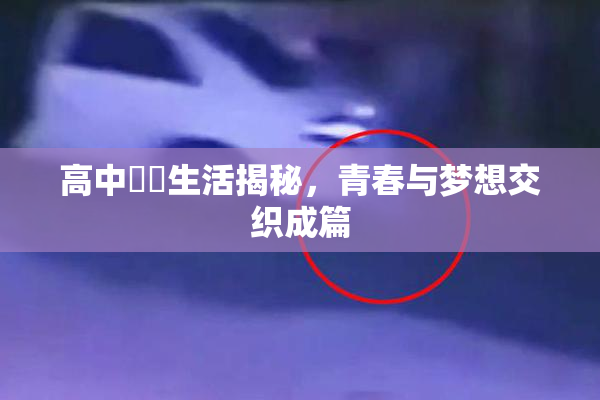 高中妺妺生活揭秘，青春与梦想交织成篇