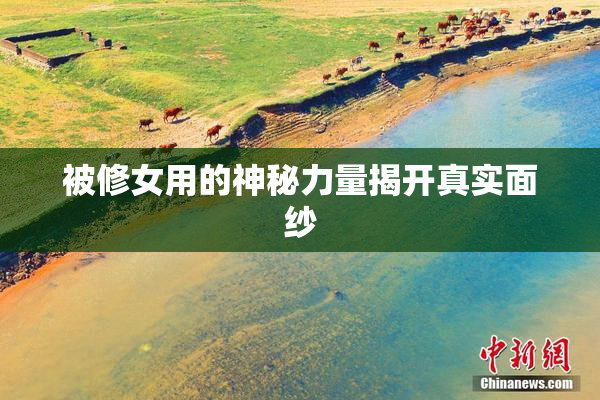 被修女用的神秘力量揭开真实面纱
