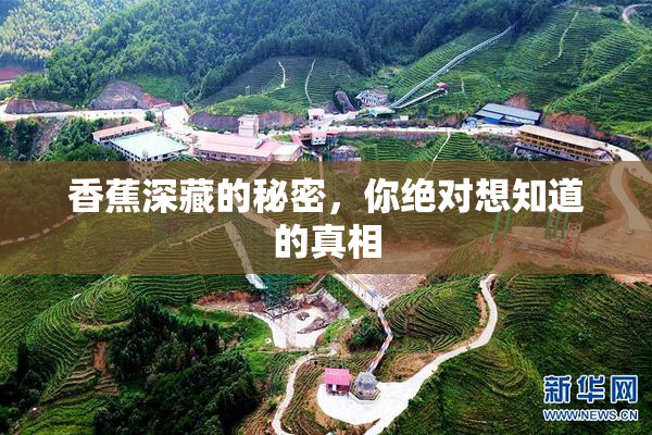 香蕉深藏的秘密，你绝对想知道的真相