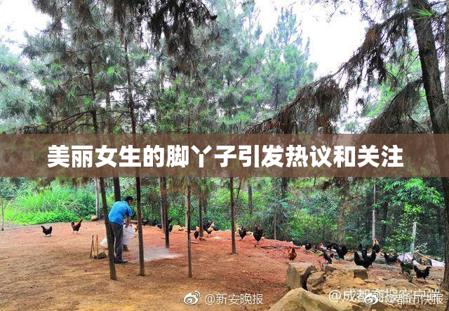 美丽女生的脚丫子引发热议和关注