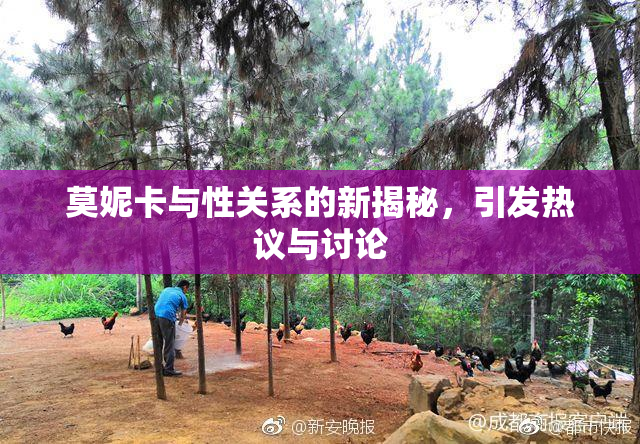莫妮卡与性关系的新揭秘，引发热议与讨论