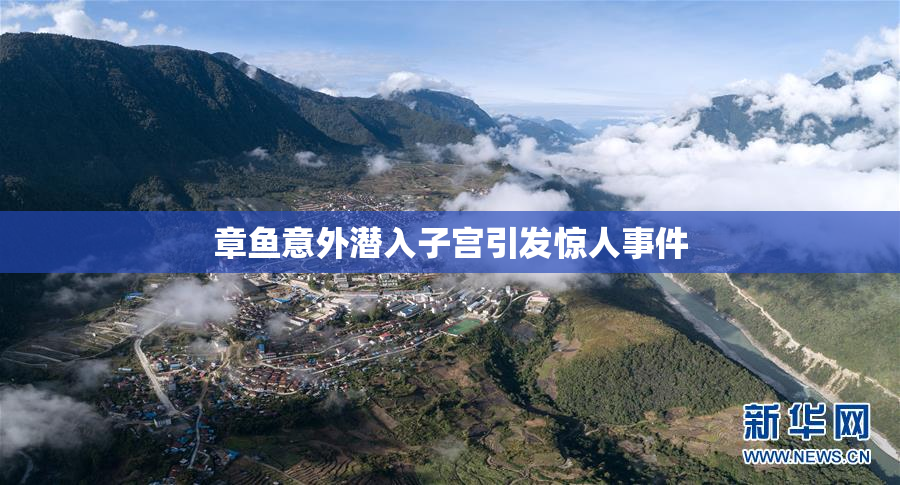 章鱼意外潜入子宫引发惊人事件