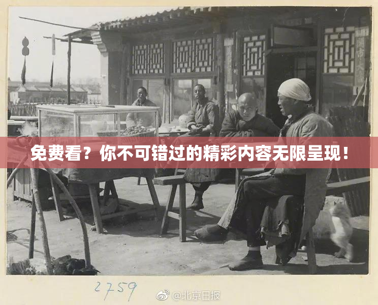 免费看？你不可错过的精彩内容无限呈现！