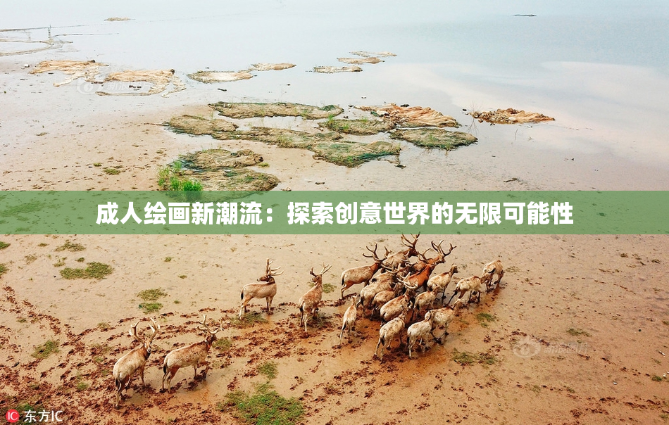 成人绘画新潮流：探索创意世界的无限可能性