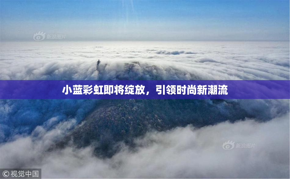 小蓝彩虹即将绽放，引领时尚新潮流