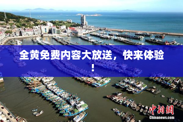 全黄免费内容大放送，快来体验！
