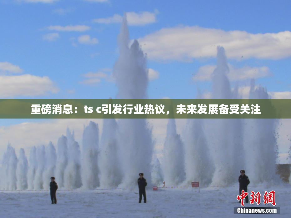 重磅消息：ts c引发行业热议，未来发展备受关注
