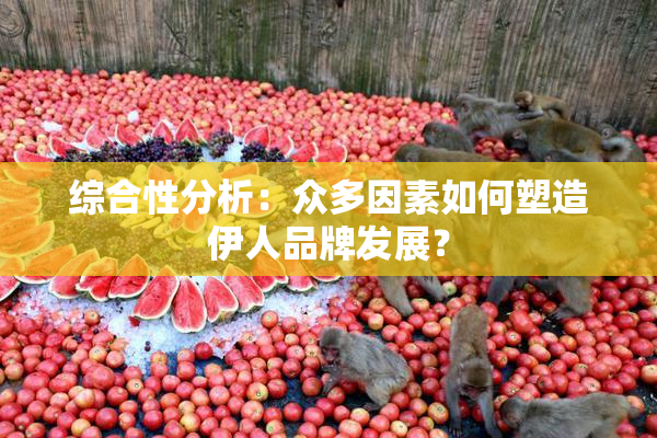 综合性分析：众多因素如何塑造伊人品牌发展？