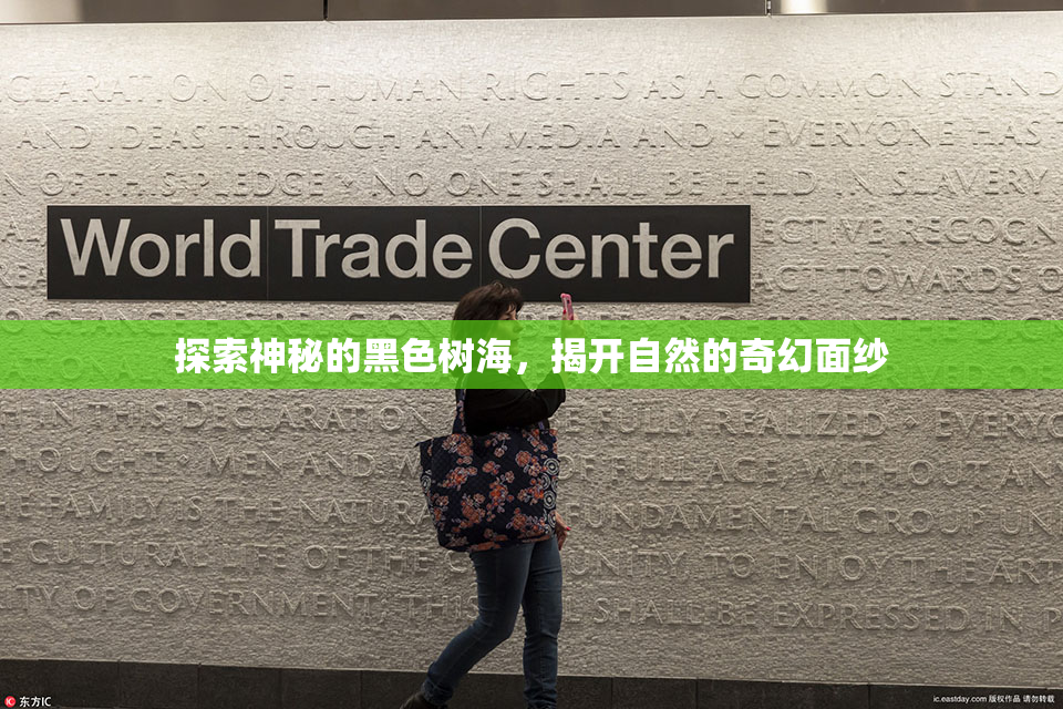 探索神秘的黑色树海，揭开自然的奇幻面纱