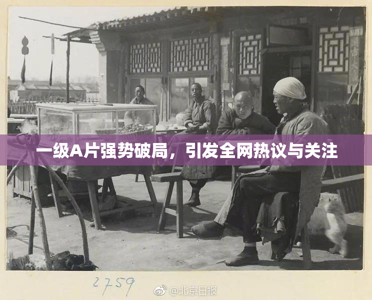 一级A片强势破局，引发全网热议与关注