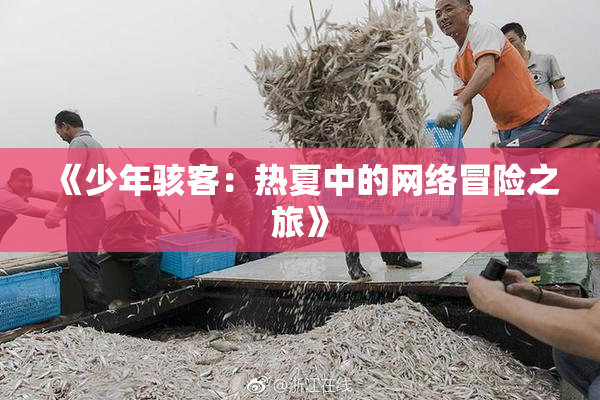 《少年骇客：热夏中的网络冒险之旅》