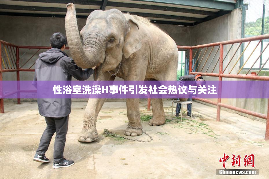 性浴室洗澡H事件引发社会热议与关注