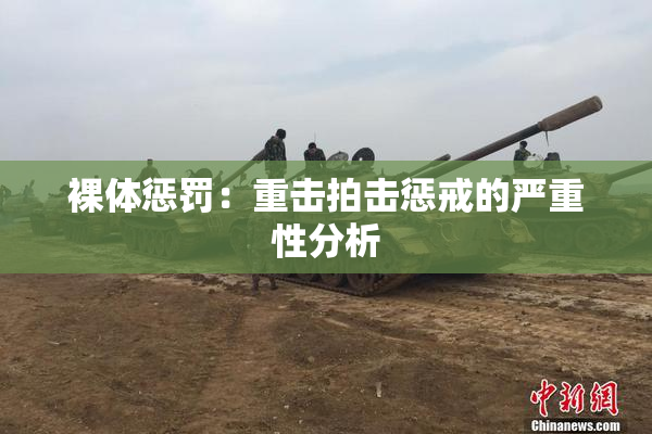 裸体惩罚：重击拍击惩戒的严重性分析