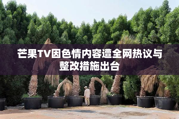 芒果TV因色情内容遭全网热议与整改措施出台