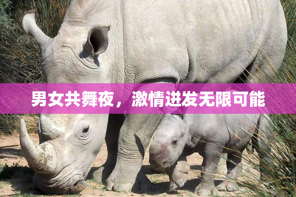 男女共舞夜，激情迸发无限可能