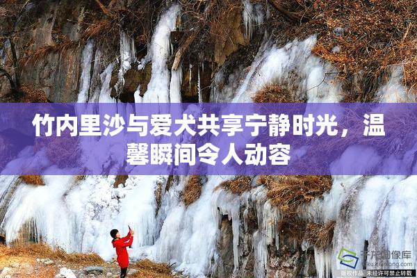 竹内里沙与爱犬共享宁静时光，温馨瞬间令人动容