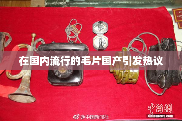在国内流行的毛片国产引发热议