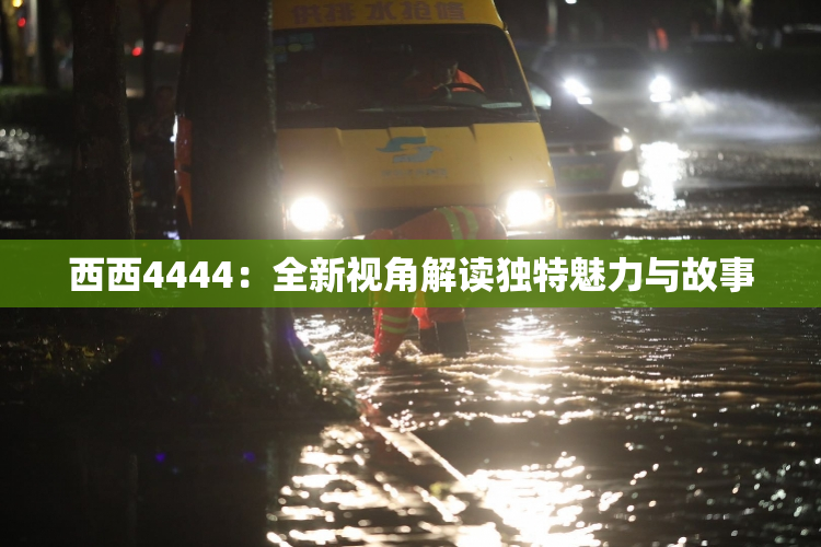 西西4444：全新视角解读独特魅力与故事