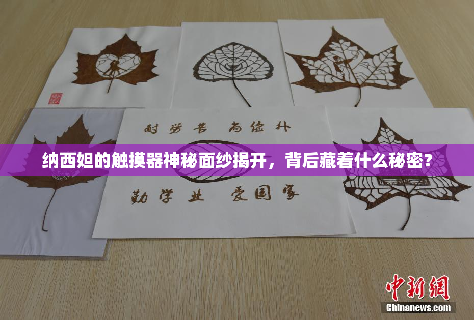 纳西妲的触摸器神秘面纱揭开，背后藏着什么秘密？