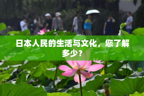 日本人民的生活与文化，您了解多少？