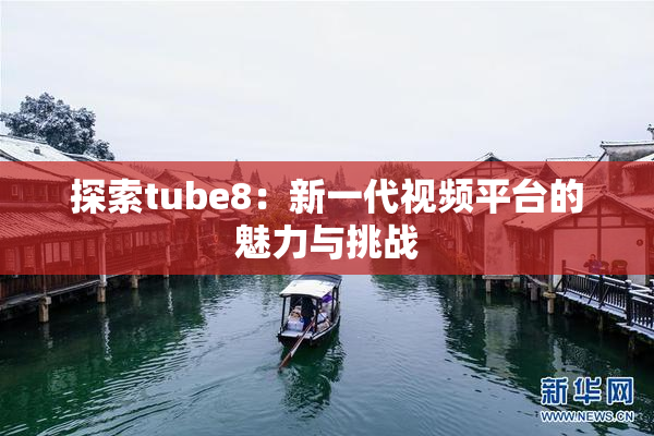 探索tube8：新一代视频平台的魅力与挑战