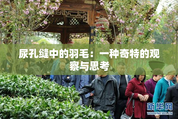 尿孔缝中的羽毛：一种奇特的观察与思考