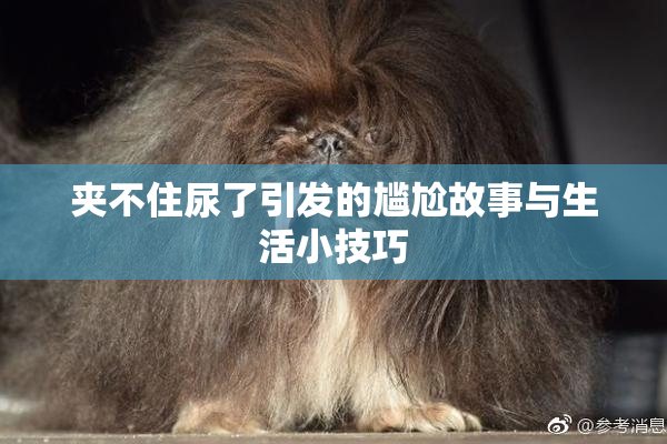 夹不住尿了引发的尴尬故事与生活小技巧