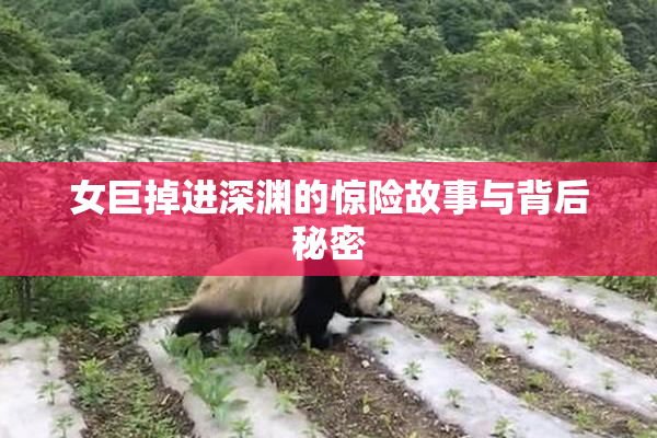 女巨掉进深渊的惊险故事与背后秘密