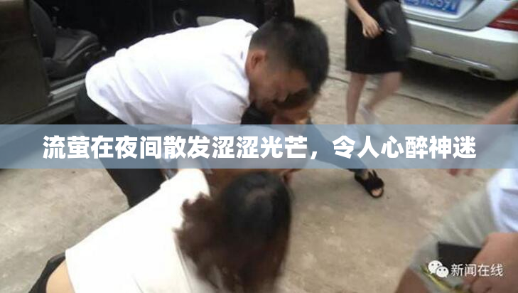 流萤在夜间散发涩涩光芒，令人心醉神迷