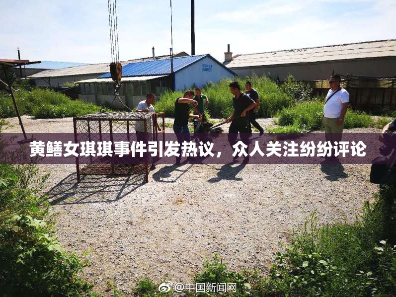黄鳝女琪琪事件引发热议，众人关注纷纷评论