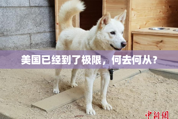 美国已经到了极限，何去何从？