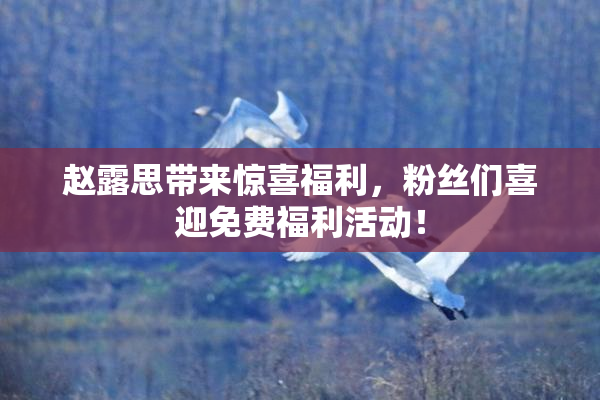 赵露思带来惊喜福利，粉丝们喜迎免费福利活动！