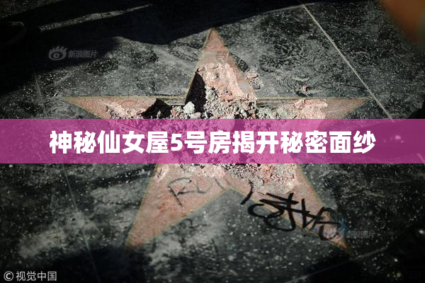 神秘仙女屋5号房揭开秘密面纱
