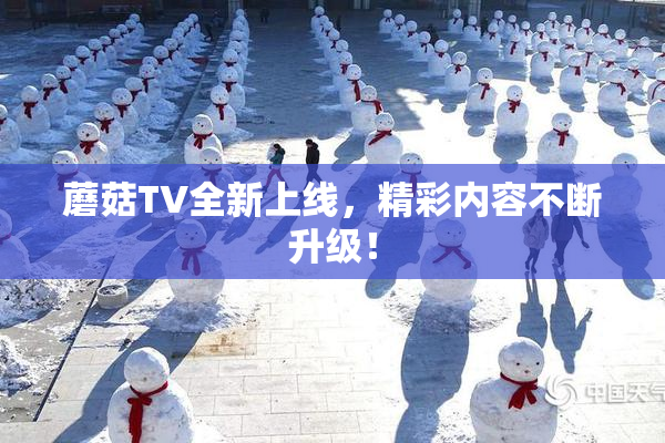 蘑菇TV全新上线，精彩内容不断升级！