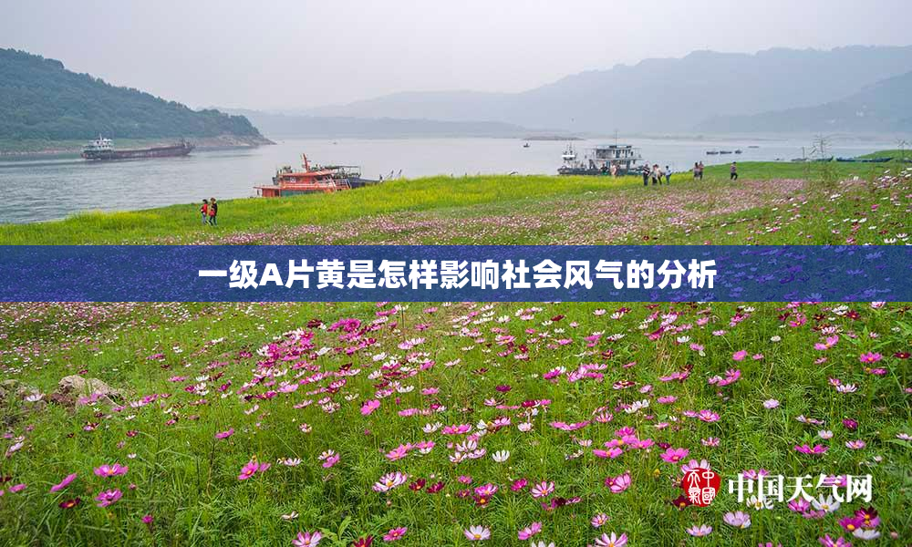 一级A片黄是怎样影响社会风气的分析