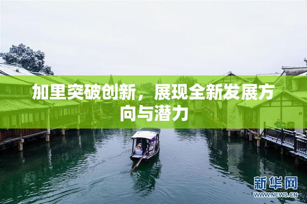 加里突破创新，展现全新发展方向与潜力
