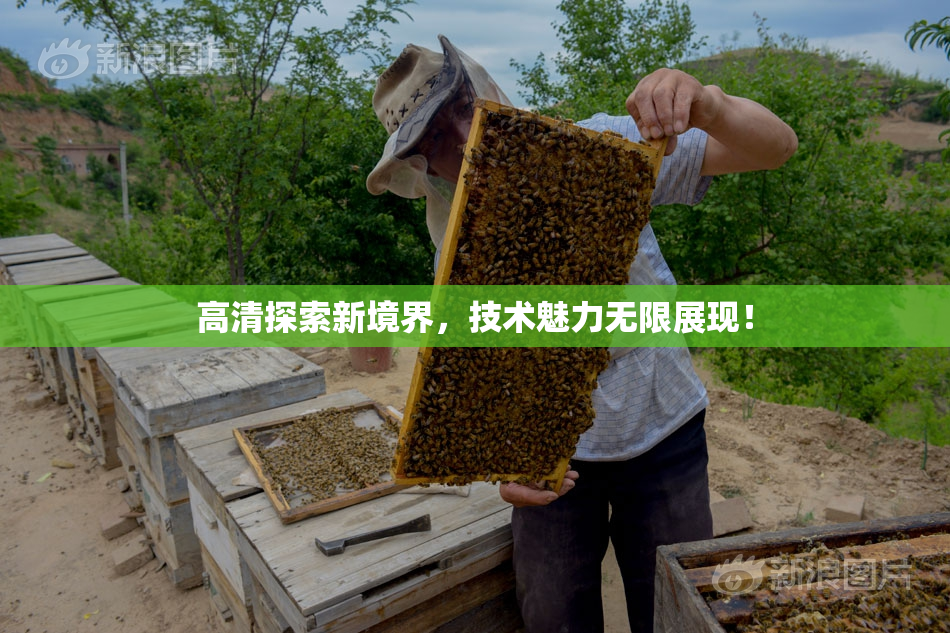 高清探索新境界，技术魅力无限展现！